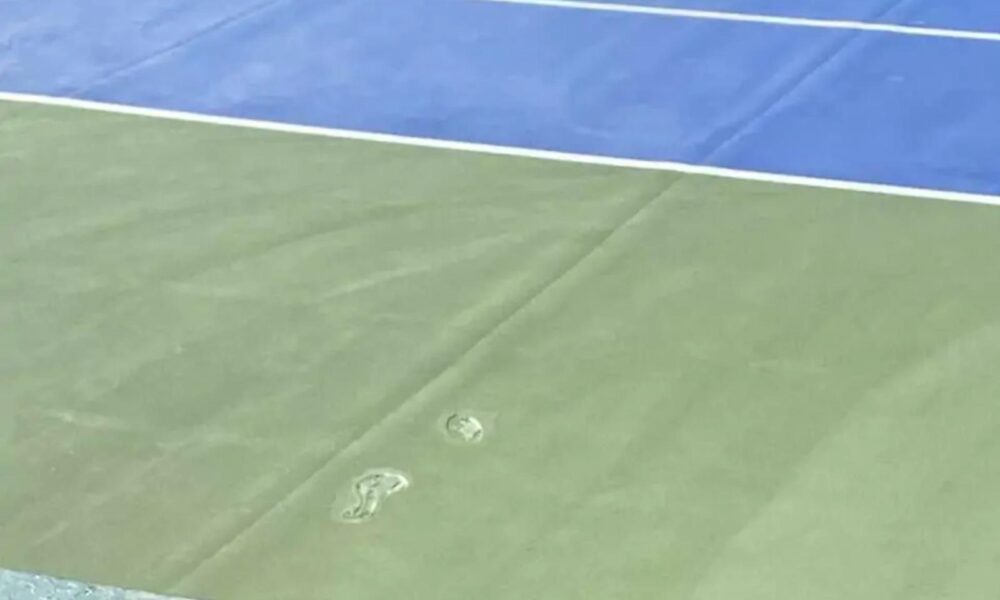 Atp Napoli