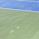 Atp Napoli